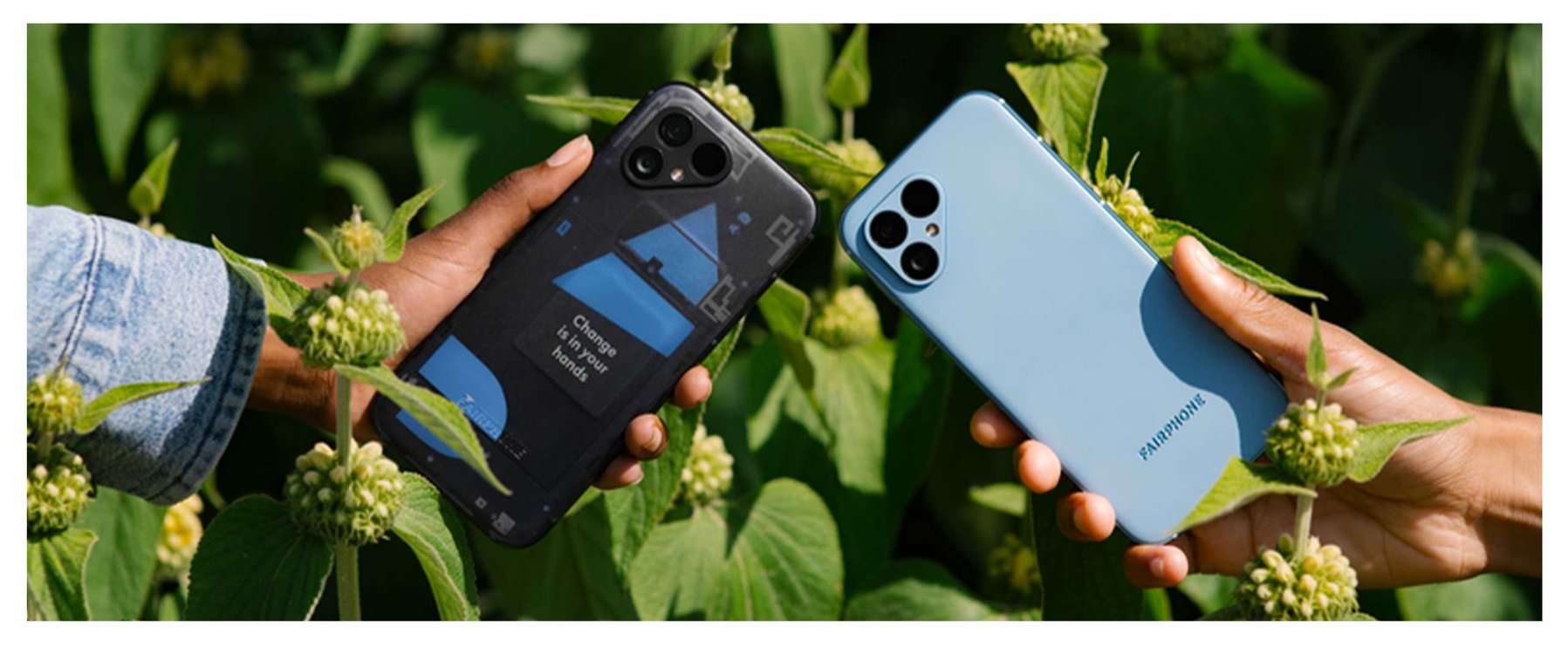 Zwei Hände halten Fairphone-Smartphones im Freien, umgeben von grünen Pflanzen. Ein Telefon zeigt seine inneren Komponenten, während das andere eine blaue Rückseite hat.